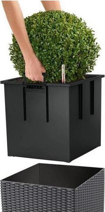 Produktbild Lechuza CUBE Cottage 50 (50 x 49 x 50 cm)