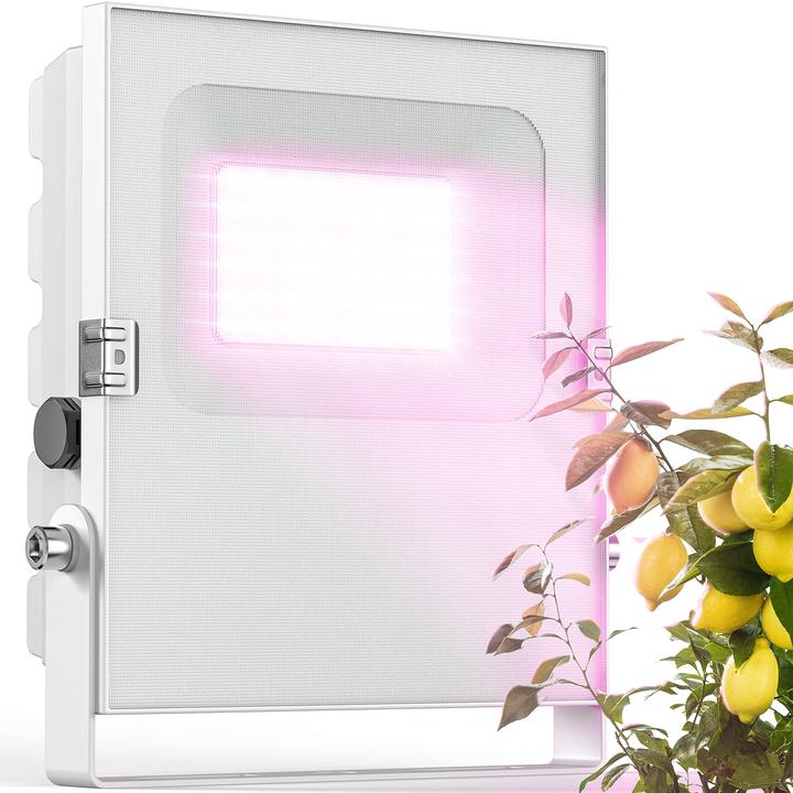 Image du produit Meine Orangerie 35.0 Watt (LED, 230 V)