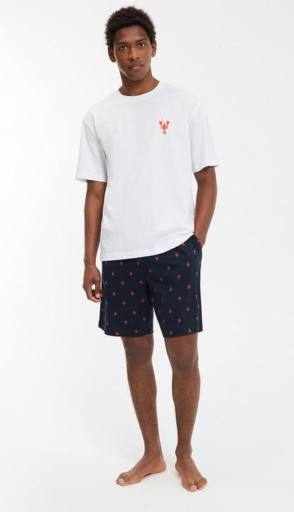 Produktbild La Redoute Collections Kurzpyjama aus 100% Baumwolle (L)