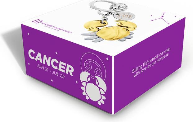 Actual product image Metalmorphose Keyring Cancer