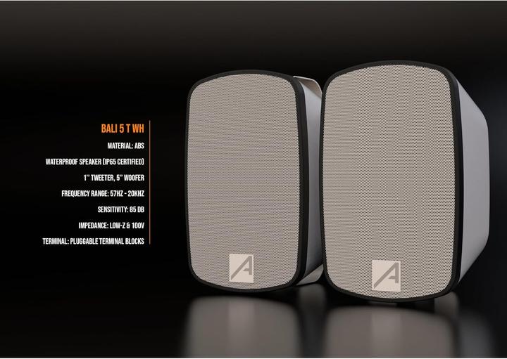 Produktbild Audibax Passive Aussenlautsprecher für Wandmontage mit IP66-Schutz (Passiv)