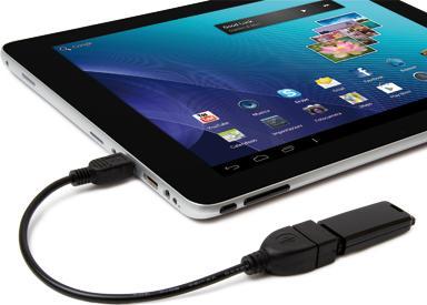 Produktbild Hamlet Exagerate Zelig Pad Kabeladapter mini usb auf usb weiblich (0.15 m)