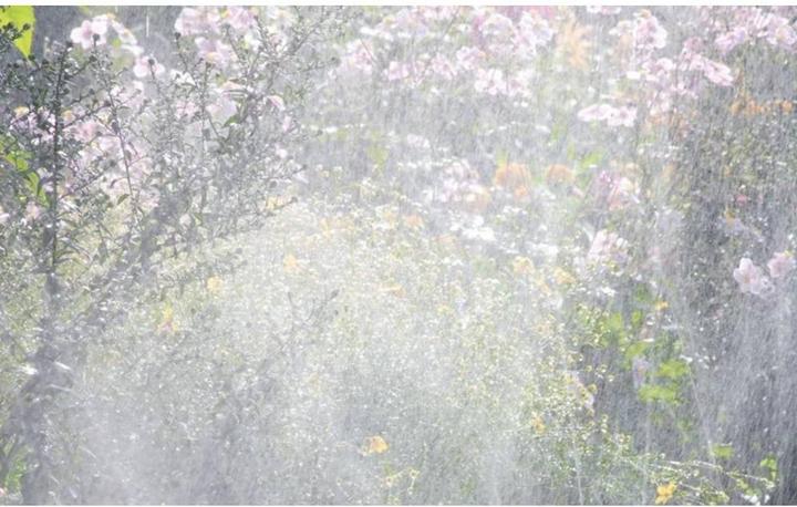 Produktbild Gardena Schlauch-Regner (Schlauchregner)