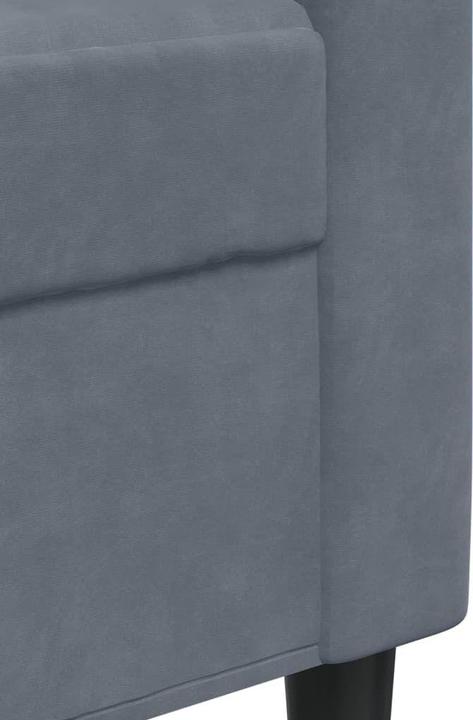 Actual product image vidaXL 2-Sitzer-Sofa (2 person sofa)