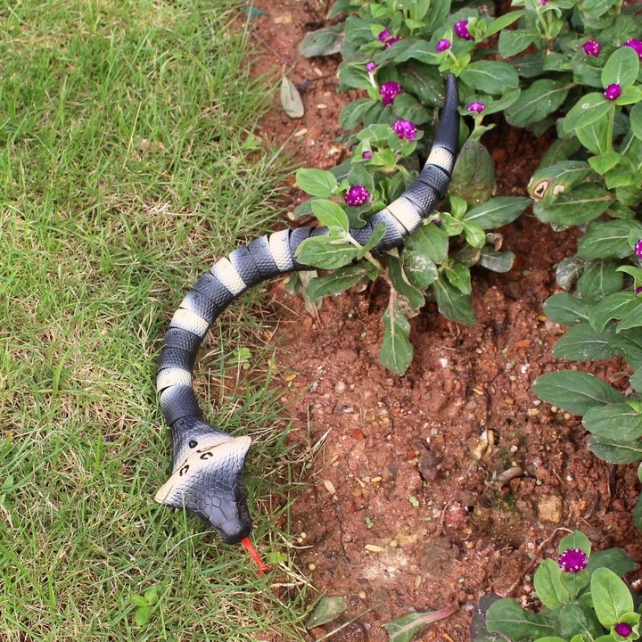 Immagine prodotto Zuru REAL WILD - Serpente Cobra telecomandato - (20248)