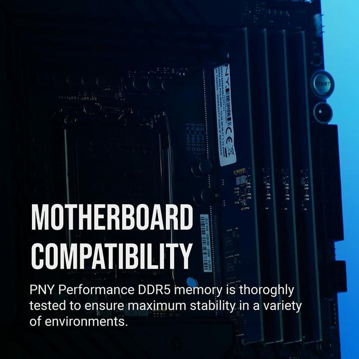 Actual product image PNY DDR5 module 16 GB (1 x 16GB, 4800 MHz, DDR5 RAM, DIMM)