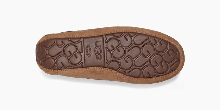 Actual product image Ugg Dakota (38)