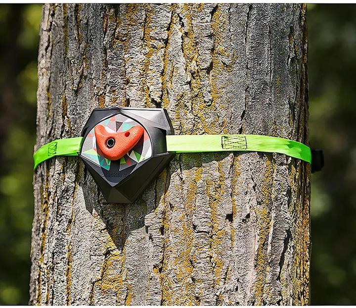 Actual product image Schildkröt Ninja Treeclimbers
