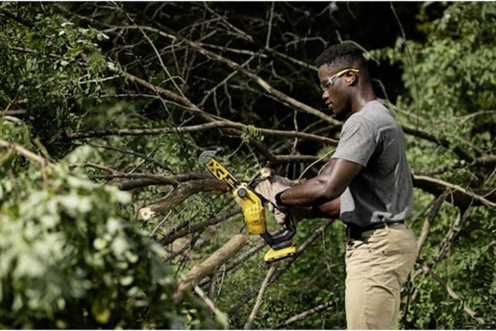 Actual product image DeWalt Cordless pruning saw (Battery chain saw)