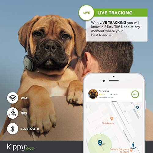 Produktbild Kippy GPS und Activity Monitor
