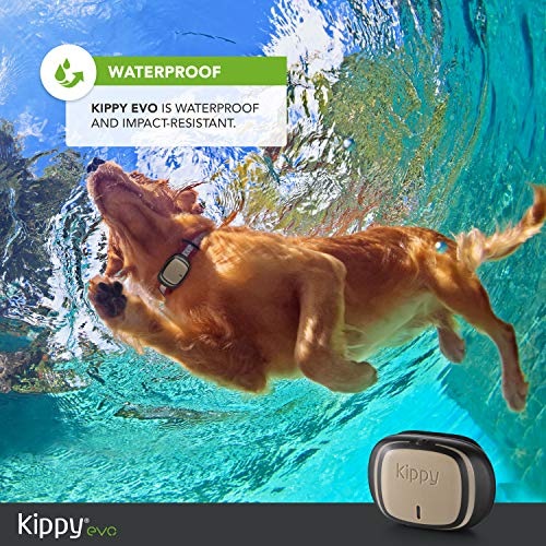 Produktbild Kippy GPS und Activity Monitor