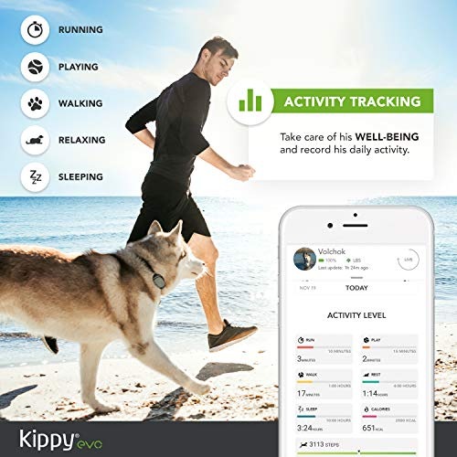 Produktbild Kippy GPS und Activity Monitor