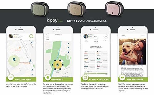 Produktbild Kippy GPS und Activity Monitor