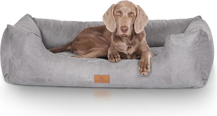 Image du produit Knuffelwuff Lit pour chien Dreamline Velour XL, 105 x 75 cm, Gris (Chien)