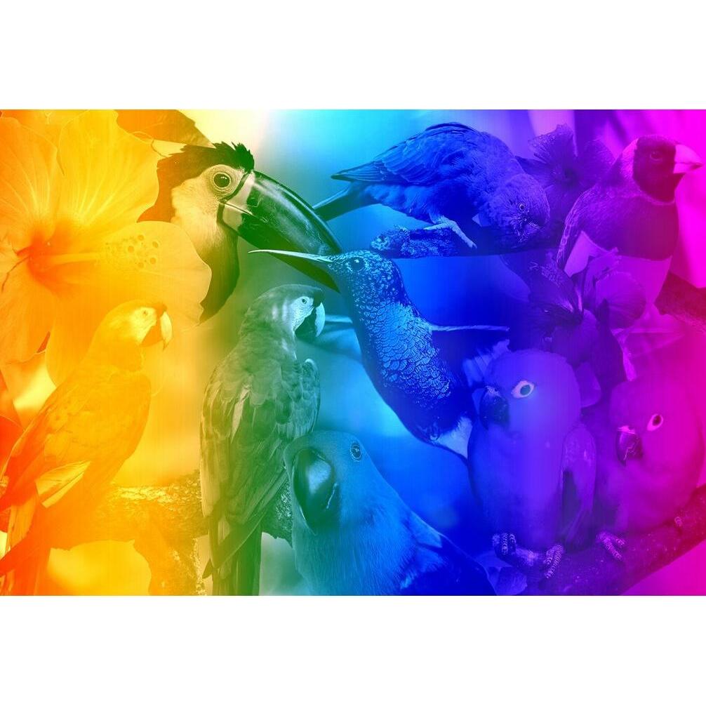 Thumbnail - WoodenCity Birds Paradise L (300 Teile)