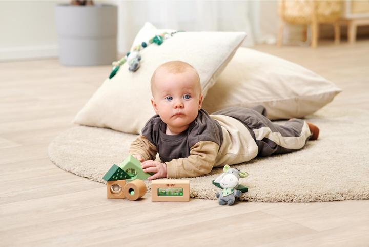 Actual product image Eichhorn Baby HiPP Sound Building Blocks