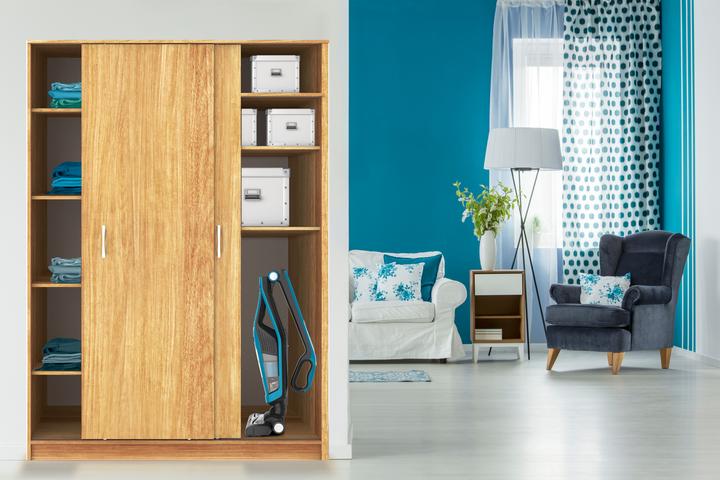 Actual product image Rowenta RH6751 WH Dual Force