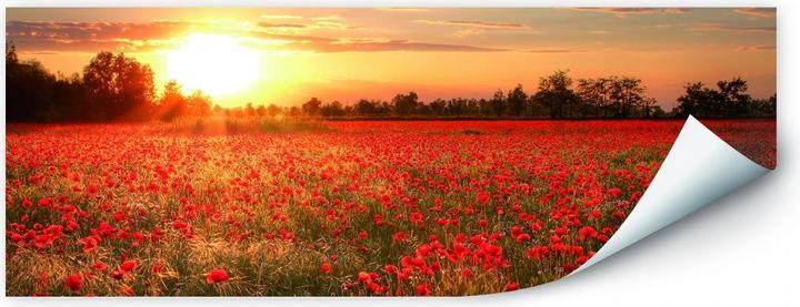 Actual product image Trenddeko Poppy field in sunset (100 x 40 cm)