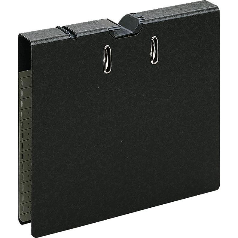 Leitz Pendelordner (A4, 50 mm, 1 Stk.) (2022-02-00)