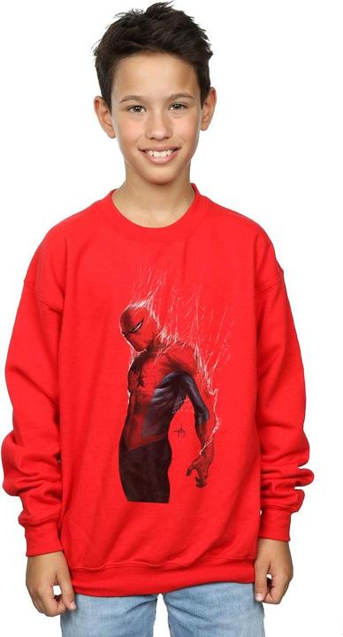 Immagine prodotto Spider-Man Web Wrap Felpa Ragazzi (116)