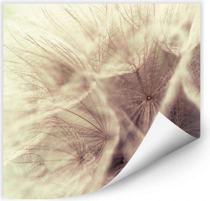 Actual product image Trenddeko Dandelion Close Up (30 x 30 cm)