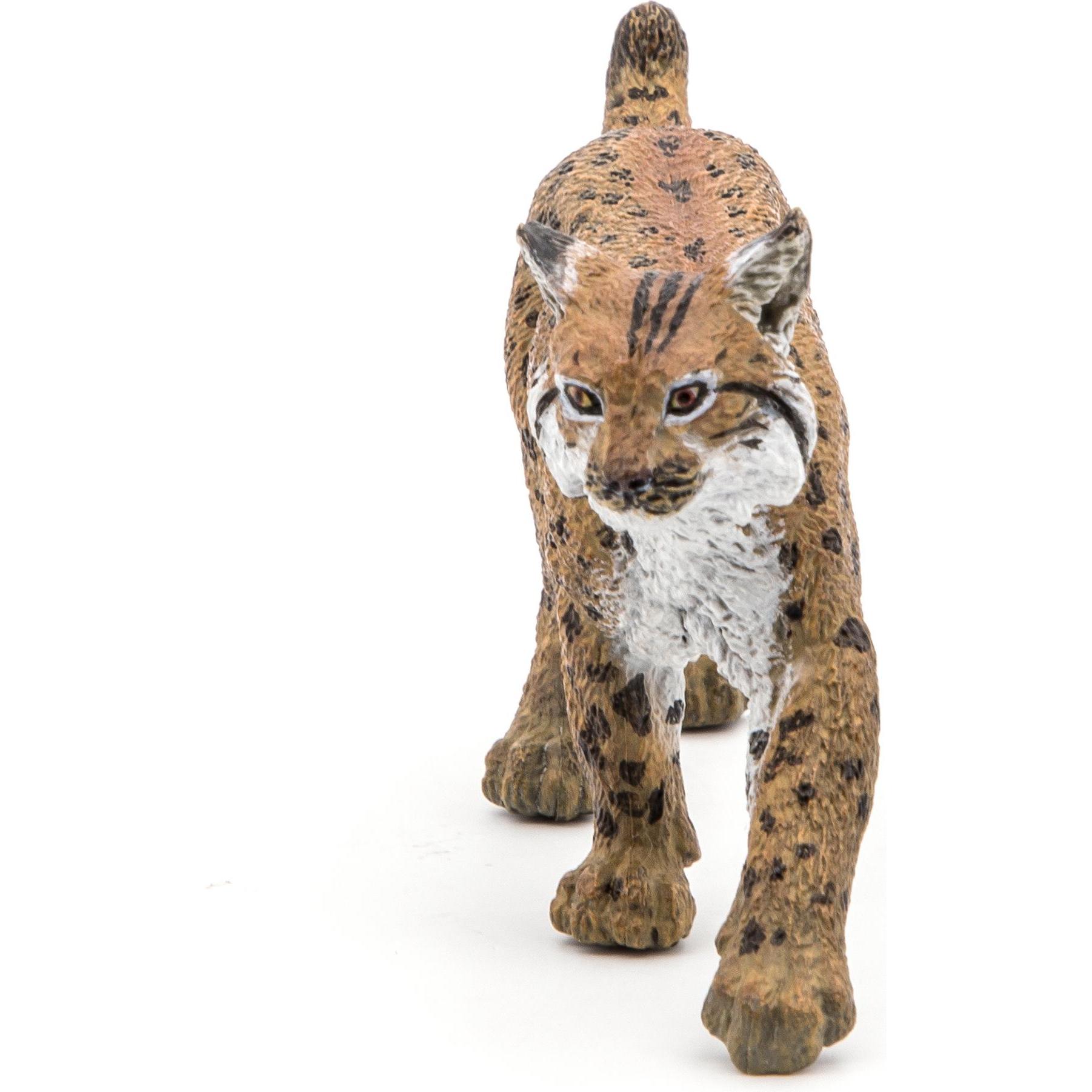 Thumbnail - Papo Luchs