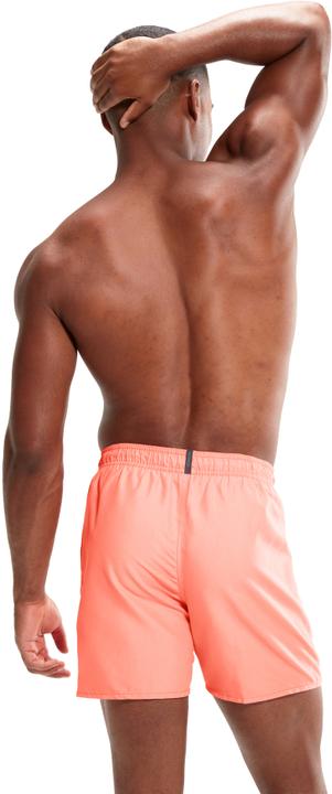 Actual product image Speedo Essentials 16" Watershort