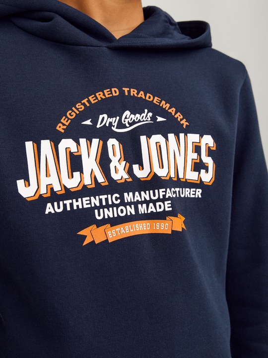 Actual product image Jack & Jones JJELOGO SWEAT HOOD 2 COL 24/25 NOOS JNR (152)