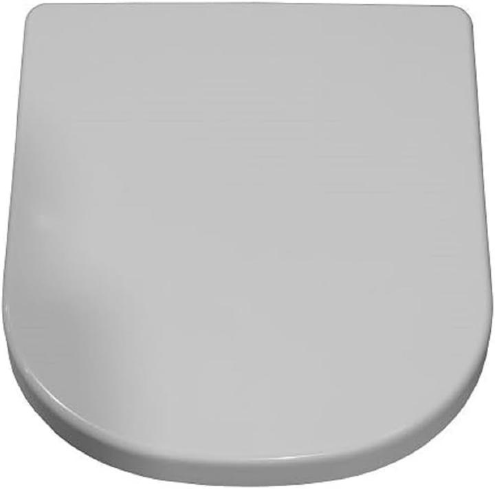 Geberit WC seat RENOVA PLAN hinges stainless steel white