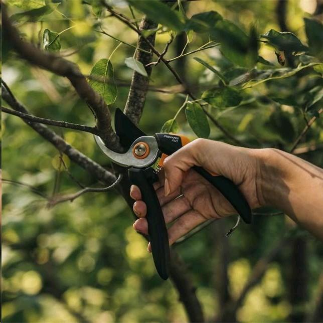 Produktbild Fiskars P321 SingleStep
