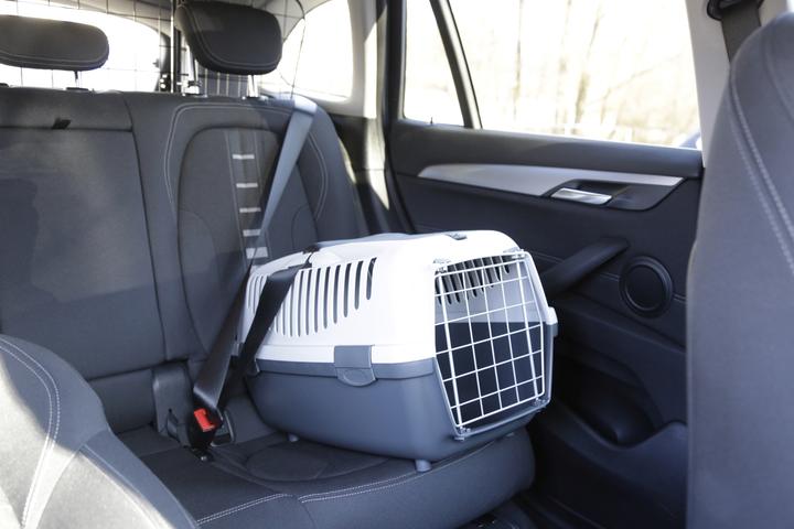 Actual product image Kerbl Gulliver 2 (Cat, Dog, Lockable)
