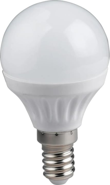 Image du produit Trio Leuchten 983-60 Ampoule LED E14 goutte (E14, 5 W, 470 lm, 1 x, F)