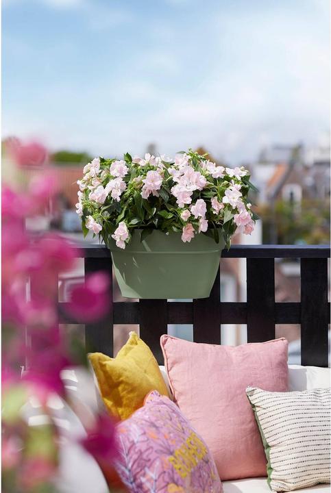 Produktbild Elho Vibia Campana Flower Bridge (26 cm)