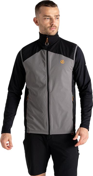 Actual product image Dare2b Mens Latitudinal III Gilet (M)