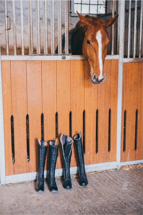 Image du produit Suedwind Footwear Bottes d'équitation Legacy Venado Merino (38)