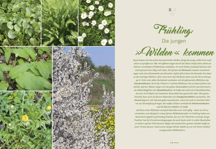 Produktbild Fränkisch kochen mit wilden Kräutern (Deutsch, Marion Reinhardt, 2017)