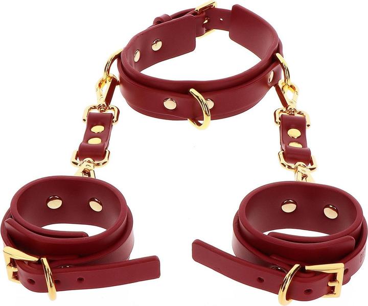 Actual product image Taboom D-Ring Collar and Wrist Cuffs