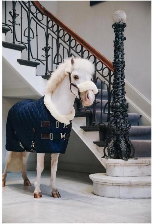 Actual product image Kentucky Horsewear Tournament blanket 160g with fur collar (synthetic fur) (145 cm)