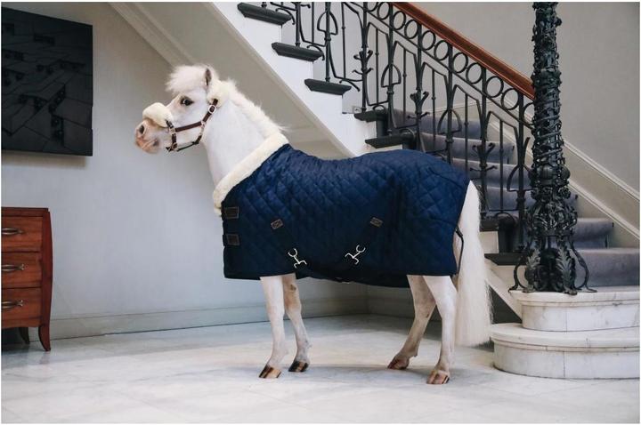 Actual product image Kentucky Horsewear Tournament blanket 160g with fur collar (synthetic fur) (145 cm)