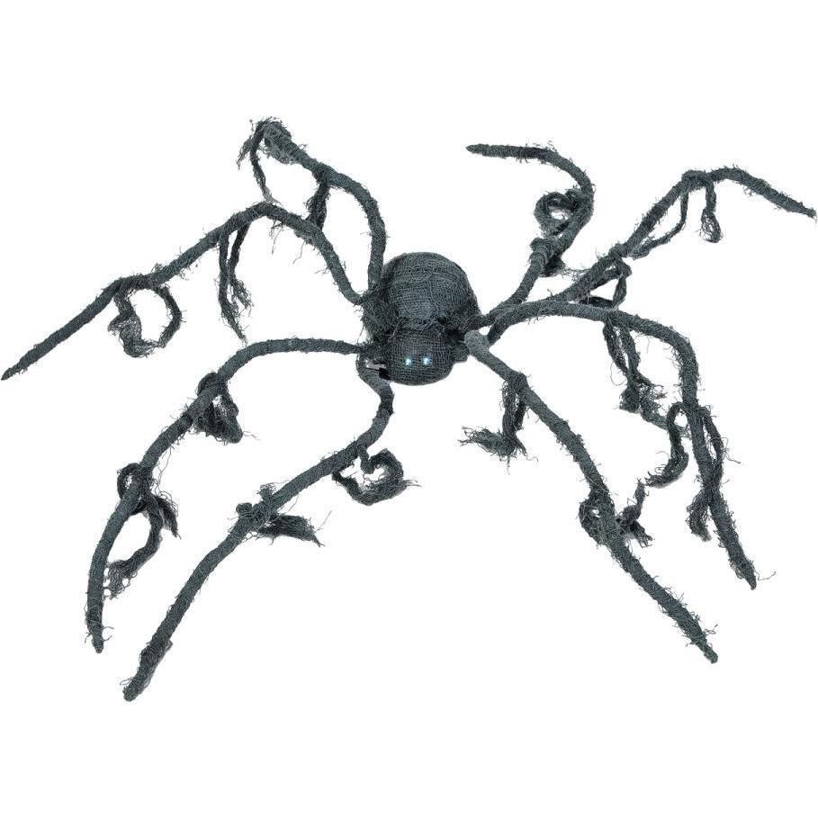 Europalms Spinne