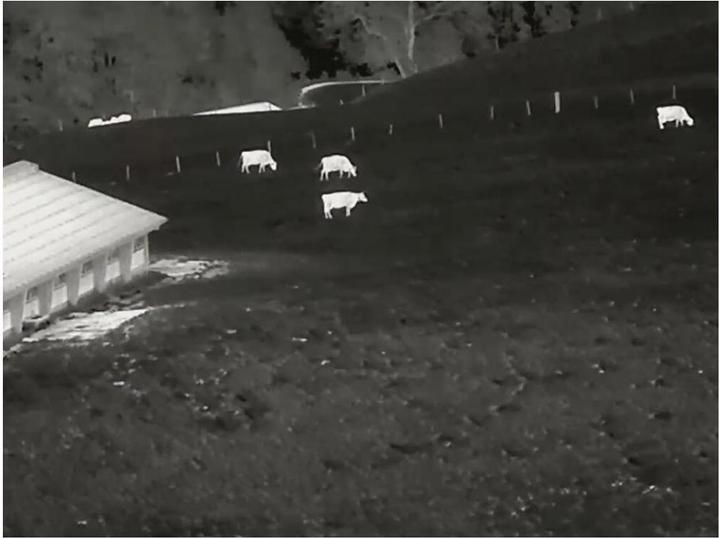 Produktbild Xeye Wärmebildkamera E6 Pro V3