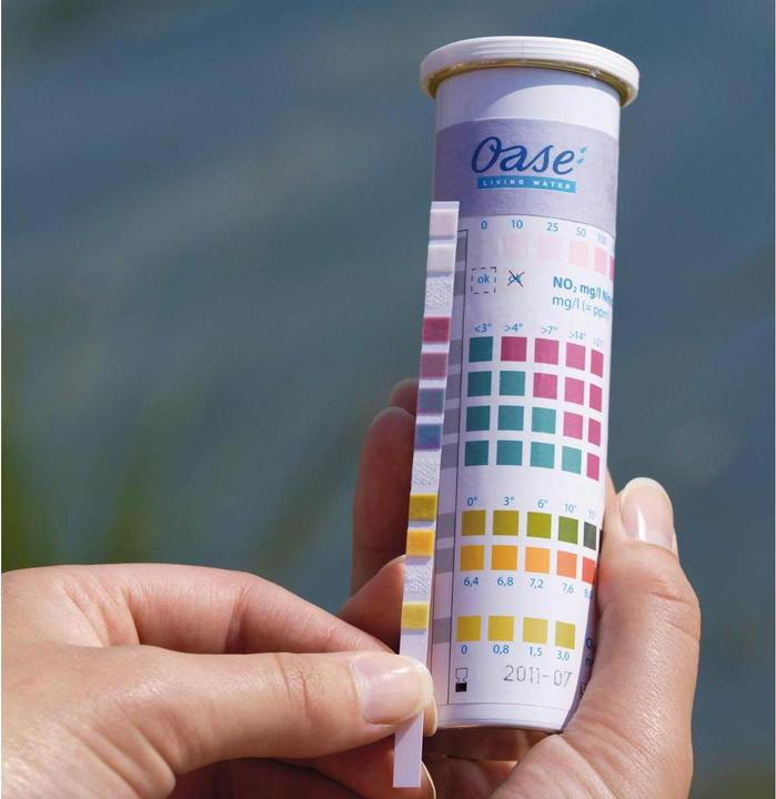 Actual product image Oase AquaActiv QuickSticks