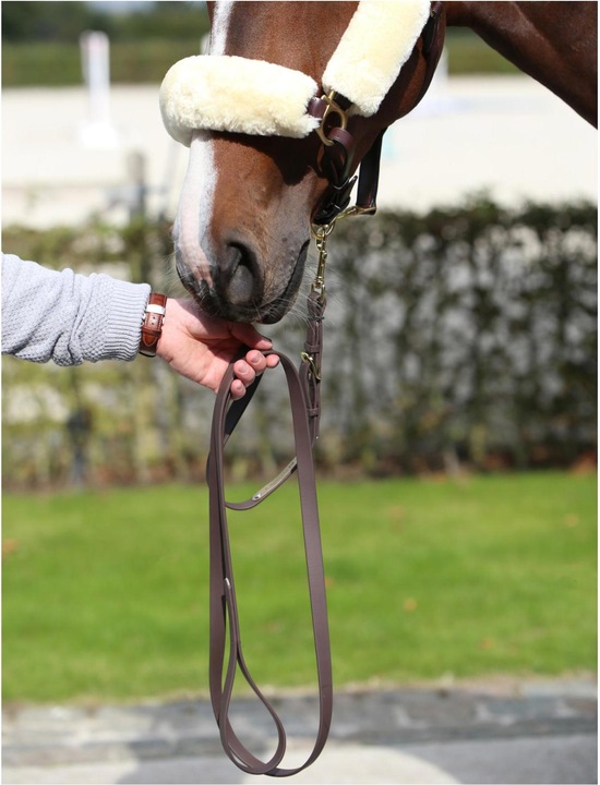 Immagine prodotto Kentucky Horsewear Corda dimostrativa 2m Biothane Beta