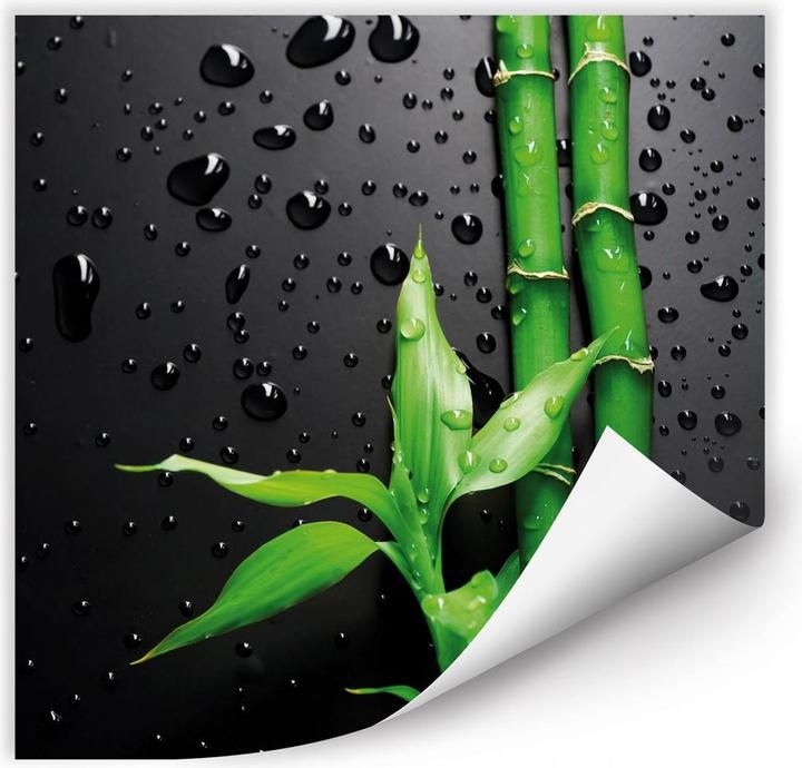 Immagine prodotto Trenddeko Bambù su nero (50 x 50 cm)