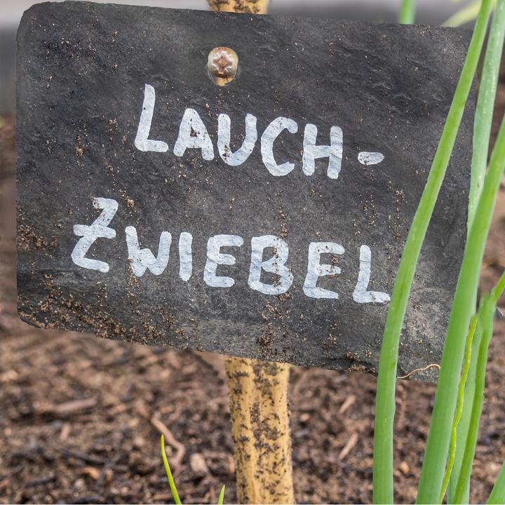 Immagine prodotto Relaxdays 10x Cartelli per piante in ardesia (0.50 cm, 10 cm)