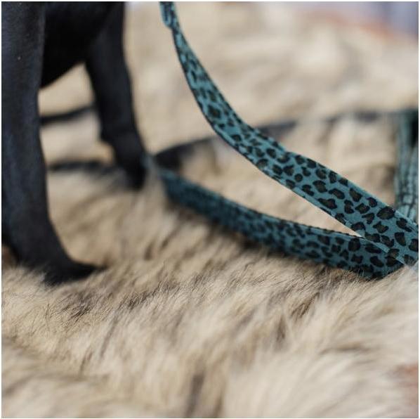 Produktbild Kentucky Dogwear Hundeleine Leopard