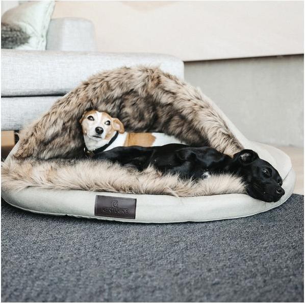 Immagine prodotto Kentucky Dogwear Cane letto Igloo (Cane)