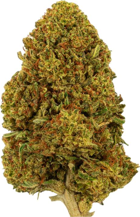 Immagine prodotto Green Passion Passione bianca (5 g, Esterno)