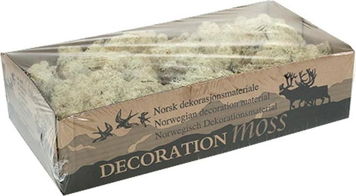 Actual product image Flowerbox Iceland moss