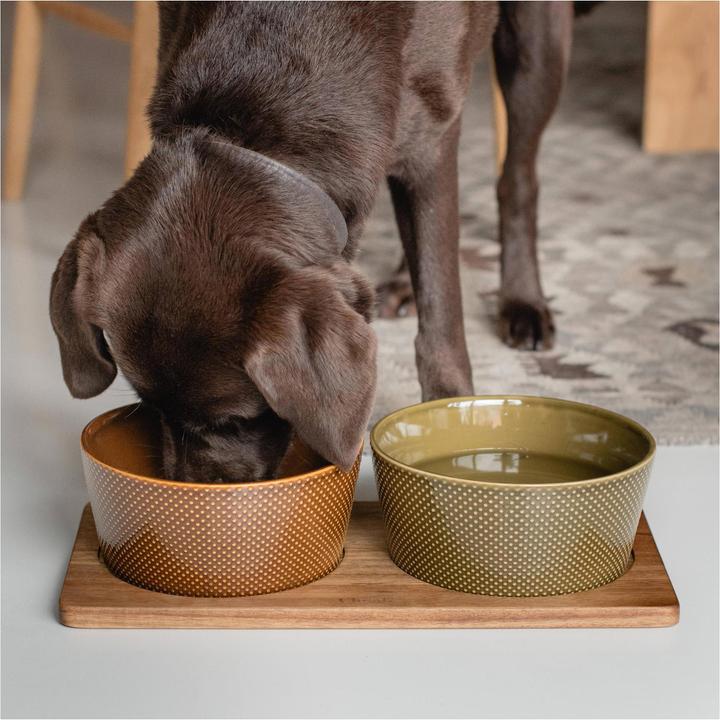 Image du produit Cloud 7 Support de gamelle Dog Station